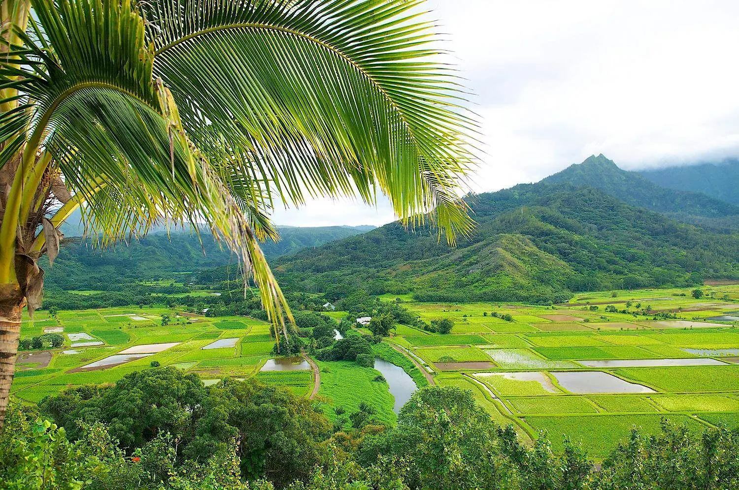 Apartment Waipouli Beach Resort Exquisite Beautifully Decorated Extra Large Luxury Dire Kapa'a