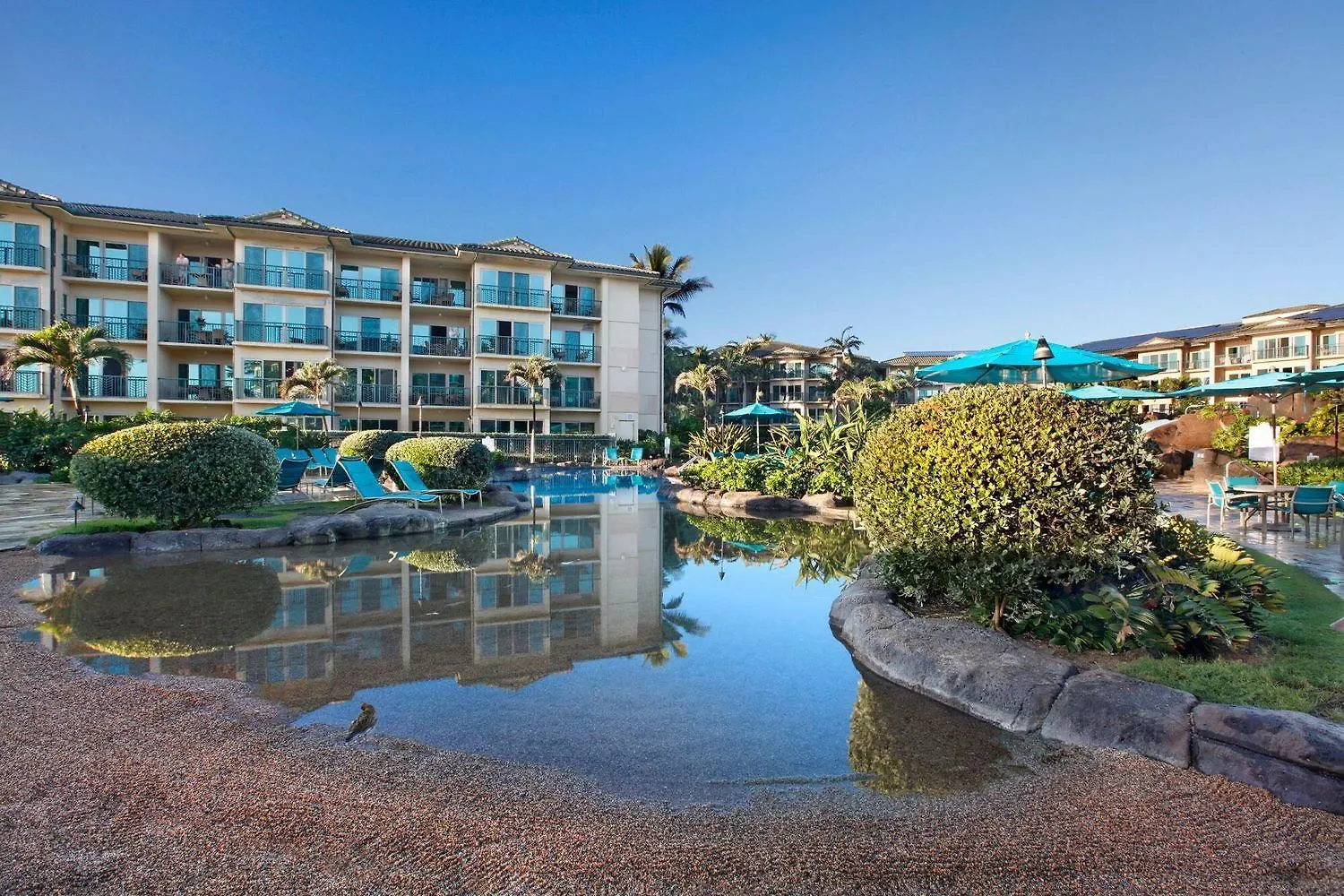 Waipouli Beach Resort Exquisite Beautifully Decorated Extra Large Luxury Dire Kapa'a